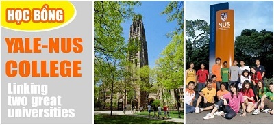Đại học Yale-NUS báo cáo đào tạo Cử nhân đa ngành và học bổng