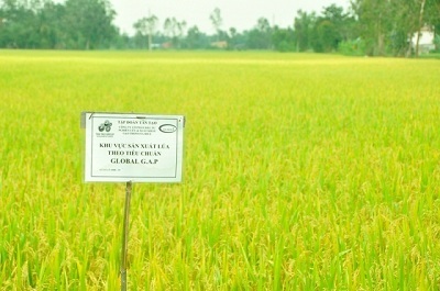 Bữa cơm gia đình – nét văn hóa tốt đẹp của người Việt