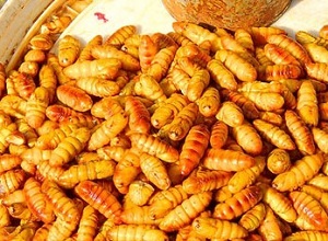 6 nguyên liệu tự nhiên cho lá gan khỏe mạnh - 7 - Vitamin (A, B1, B2, C, E) là thành phần có sẳn trong rau quả sử dụng cho sản xuất chế phẩm.