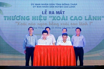 Xoài Cao Lãnh chính thức có thương hiệu