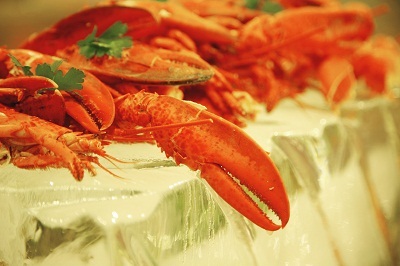 Đón năm mới cùng Sofitel Plaza Hanoi - 1 Các sự kiện đặc biệt tại Sofitel Plaza Hanoi: