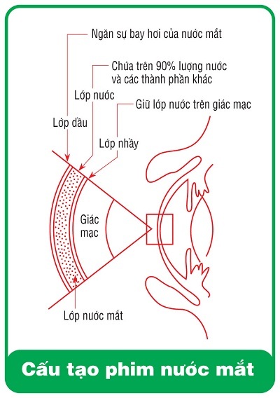 Phòng ngừa bệnh khô mắt - 2 Phòng ng