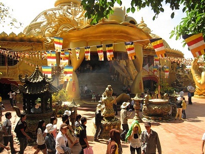 Biểu Diễn Cá Heo