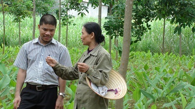 Ông Trần Đức Minh với bà con trồng dược liệu.