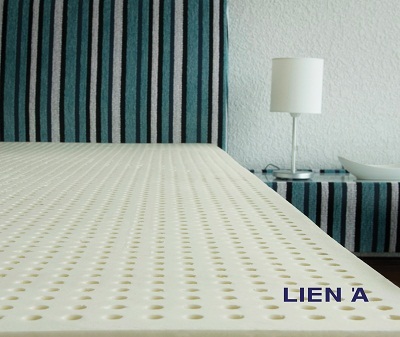 Liên Á chiếm 98% tỷ trọng xuất khẩu nệm cao su từ Việt Nam sang Mỹ - 2 Liên Á chiếm 98% tỷ trọng xuất khẩu nệm cao su từ Việt Nam sang Mỹ