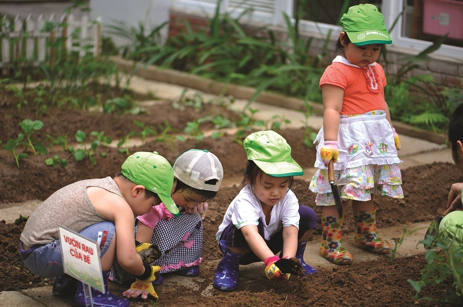Làm thế nào để trẻ mầm non “mê” đi học? - 2 Các bé hào hứng với các hoạt động làm vườn.