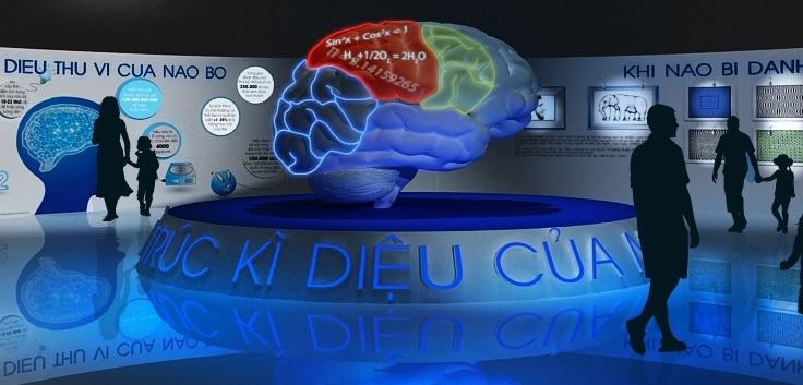 Mô hình giải phẫu bộ não chi tiết  Thiết Bị Y Tế Huê Lợi