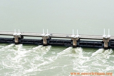 Học ngành quản lý nước tại Hà Lan - 5 Rất nhiều trường đại học của Hà Lan có thế mạnh đào tạo các ngành liên quan quản lí nước như ngành