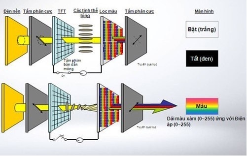 LG và bước tiến mới trong lĩnh vực màn hình máy tính - 1 LG và bước tiến mới trong lĩnh vực màn hình máy tính