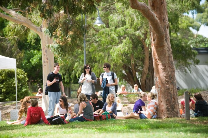 Monash College – lộ trình lý tưởng để đến Đại học Monash - 3 Học sinh, phụ huynh quan tâm tới các chương trình của ĐH Monash, vui lòng đăng ký