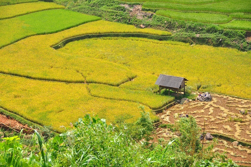 Đi để thỏa chí tung
hoành