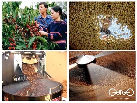 Cà phê “sinh thái” – Đỉnh cao mới của cà phê “sạch” - 1 Cà phê “sinh thái” – Đỉnh cao mới của cà phê “sạch”