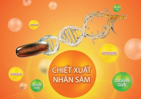 Tinh chất nhân sâm kết hợp vitamin và khoáng chất - “Cứu tinh” cho người lao tâm lao lực - 3 Việc phối hợp gồm vitamin, chất khoáng với tinh chất nhân sâm đã trở thành một giải pháp tiện lợi