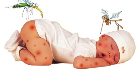 Mách mẹ bảo vệ bé yêu khỏi muỗi - 1 Để tránh cho bé bị muỗi đốt, các mẹ nên: