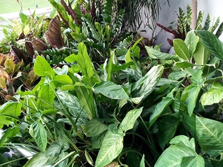 Hiệu năng