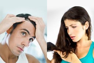 Giải pháp ngăn rụng tóc ở nam và nữ - 1 Thủ phạm chính gây rụng tóc ở nam khác ở nữ