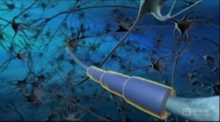 Mẹ băn khoăn gì về cơ hội phát triển trí não thai nhi? - 1 Mẹ băn khoăn gì về cơ hội phát triển trí não thai nhi?