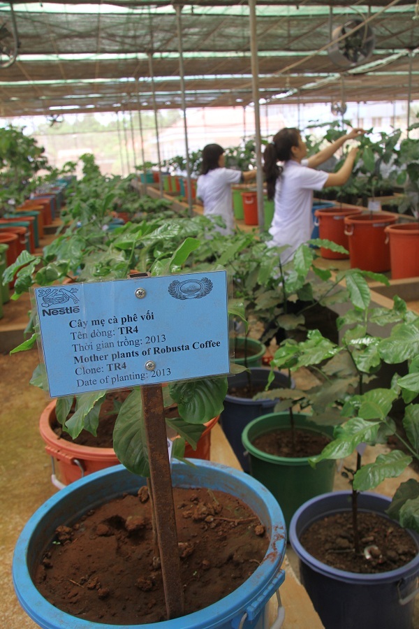 Một dự án kết nối triệu tình yêu dành cho cà phê