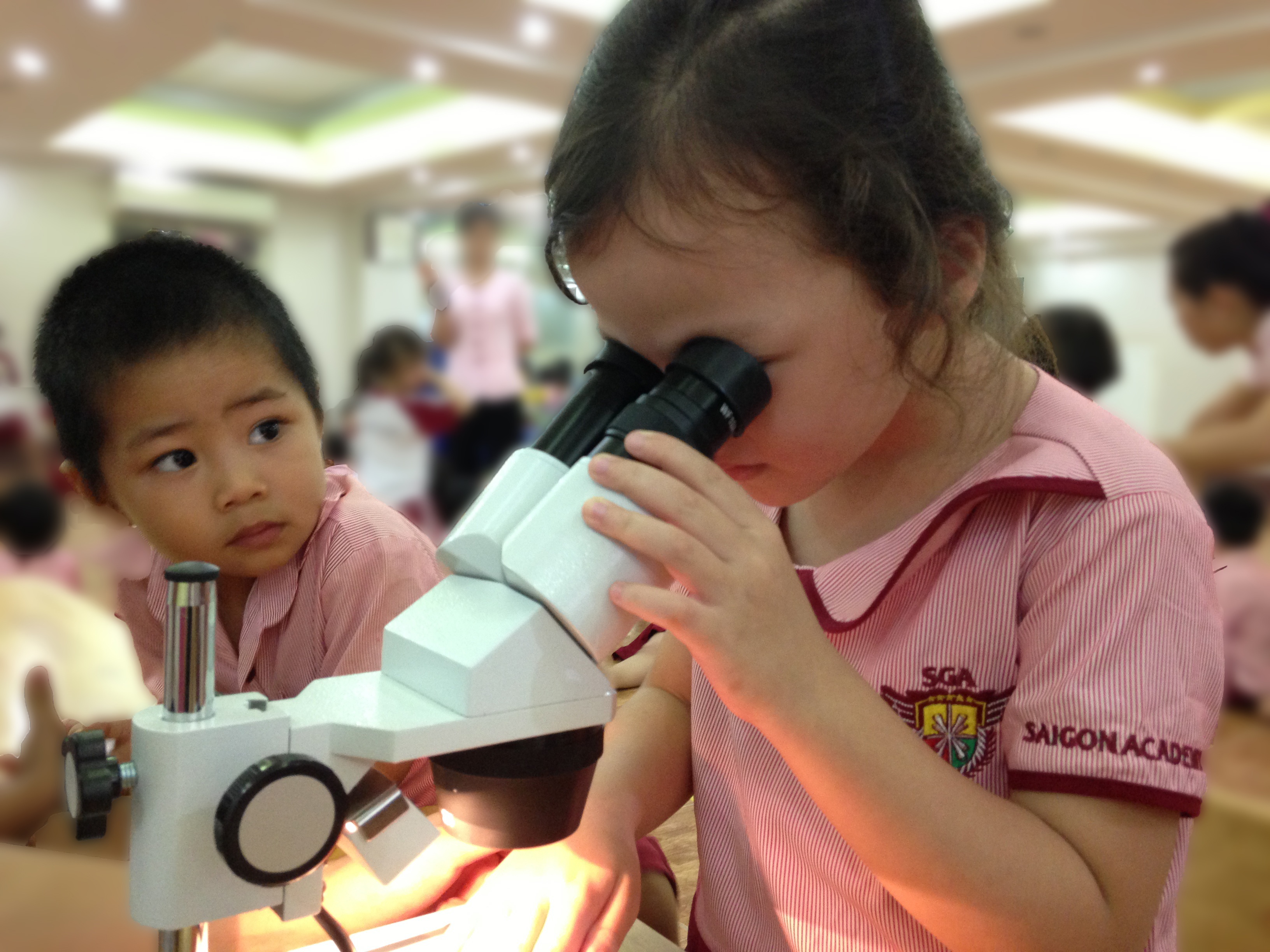 Phát triển trí thông minh Logic