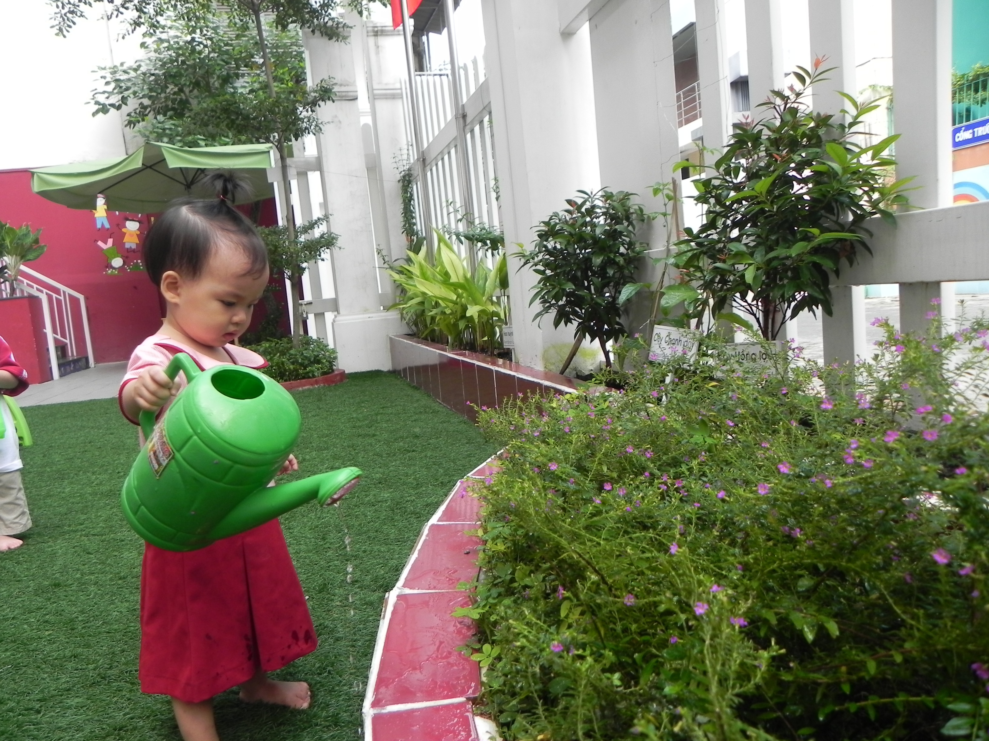 Phát triển trí thông minh Tự nhiên