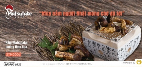 Matsutake - Mùa nấm người Nhật mong chờ, bạn đã có cơ hội thưởng thức? - 1 Matsutake - Mùa nấm người Nhật mong chờ, bạn đã có cơ hội thưởng thức?