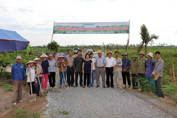 Những người nông dân trồng đinh lăng tỉ phú ở Nam Định - 2 Trung tâm giống sẽ cung cấp đủ 40ha diện tích vùng trồng đinh lăng