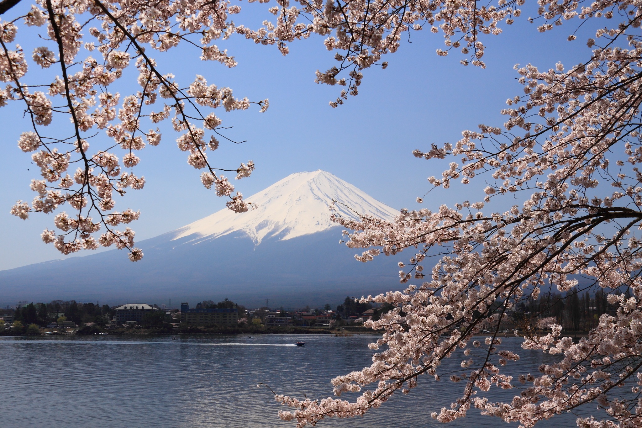 Nhật Bản đang thu hút nhiều sinh viên khám phá