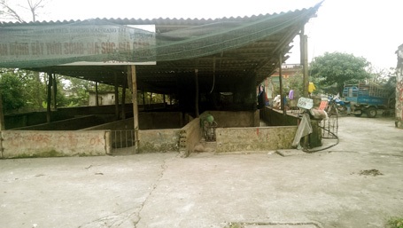 Dân hoang mang vì bị hàng chục “đầu gấu” đe dọa - 1 Khu chợ trung chuyển lợn đìu hiu vì dân buôn bị đầu gấu đe dọa, không dám đến.