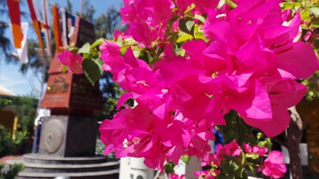 Rực rỡ giữa nắng gió Trường Sa.