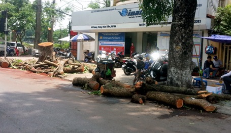 Hà Nội ngổn ngang gỗ và cây - 6 Thân cây, cành cây lớn được cưa thành khúc, vứt ngổn ngang trên vỉa hè, lòng đường.