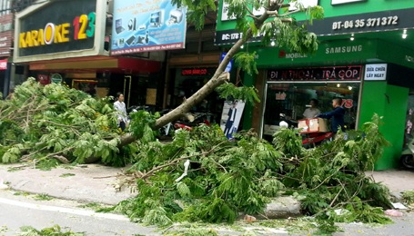 Hà Nội ngổn ngang gỗ và cây - 12 Dây cáp và cành cây bịt kín phía trước các cửa hàng kinh doanh.