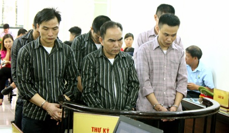 Ổ nhóm trộm gỗ sưa hầu tòa ngày 26/6.