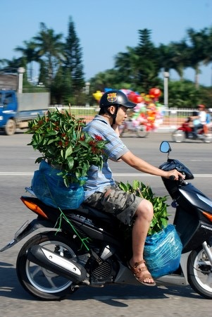 Hối hả mang xuân về nhà - 21 Hối hả mang xuân về nhà - 21