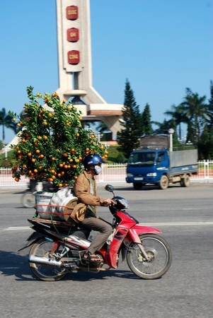 Hối hả mang xuân về nhà - 19 Hối hả mang xuân về nhà - 19