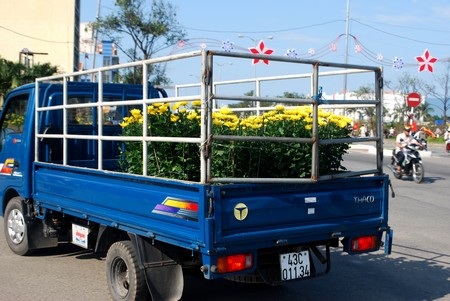 Hối hả mang xuân về nhà - 6 Hối hả mang xuân về nhà - 6