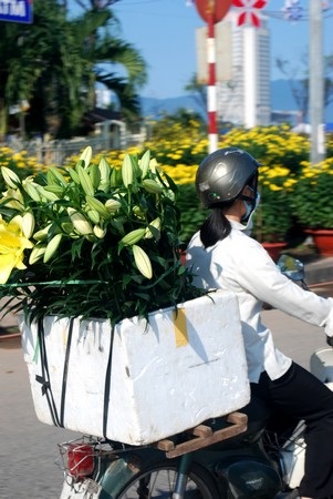 Hối hả mang xuân về nhà - 20 Hối hả mang xuân về nhà - 20