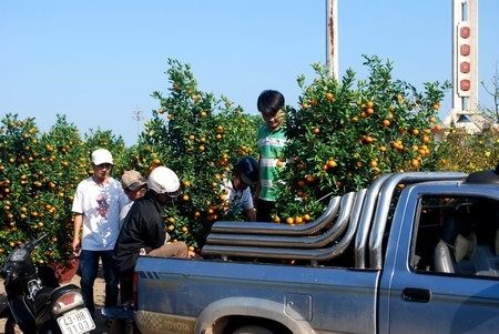 Hối hả mang xuân về nhà - 7 Hối hả mang xuân về nhà - 7