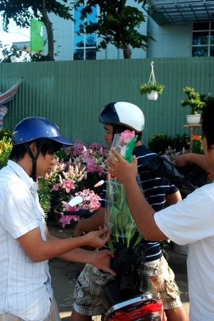 Hối hả mang xuân về nhà - 4 Hối hả mang xuân về nhà - 4