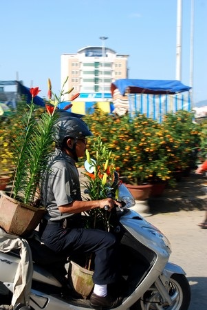 Hối hả mang xuân về nhà - 10 Hối hả mang xuân về nhà - 10
