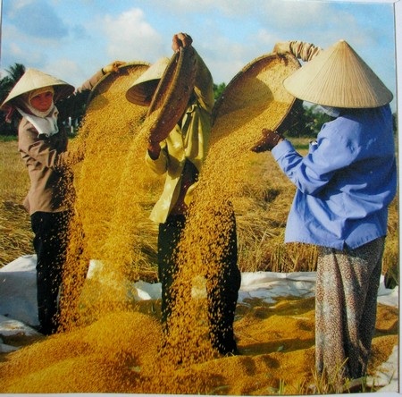 Đà Nẵng: Danh thắng và tiềm năng du lịch qua cuộc thi ảnh - 19 Đà Nẵng: Danh thắng và tiềm năng du lịch qua cuộc thi ảnh - 19
