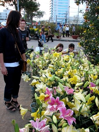 Hối hả mang xuân về nhà - 16 Hối hả mang xuân về nhà - 16