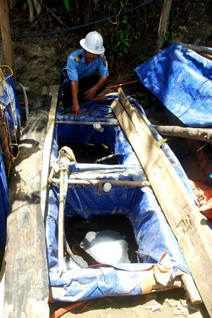 Hàng trăm “quặng tặc” vẫn “đục khoét” mỏ vàng Bồng Miêu - 4