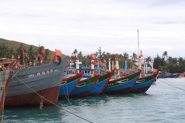 Quảng Ngãi: Thí điểm thành lập nghiệp đoàn đánh cá trên biển - 1