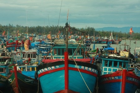 Hối hả di dân khi cơn bão đang tiến sát bờ - 11