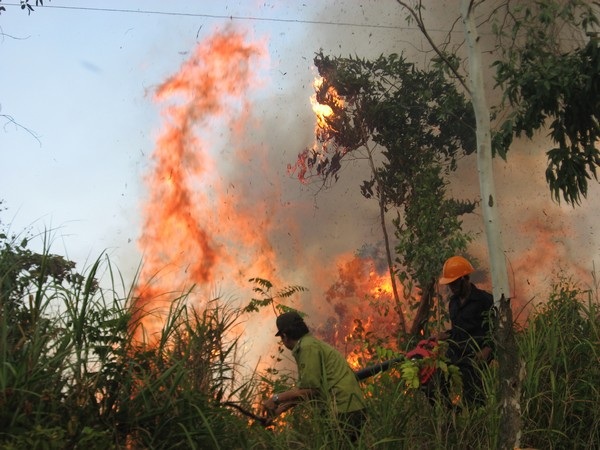 Gần 800 người tham gia dập lửa vụ cháy rừng từ Huế tới Đà Nẵng - 1