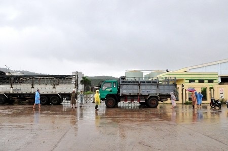 Vụ "đòi nợ như phim hành động": Ông Chủ tịch "tái xuất" sau nhiều ngày biệt tăm - 2 Các chủ nợ dùng xe ô tô chắn ở cổng nhà máy cồn Đại Tân không cho các chủ nợ khác vào chở cồn đi