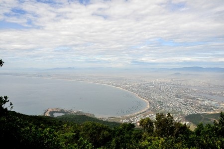 Cây đa nghìn năm tuổi trên núi Sơn Trà