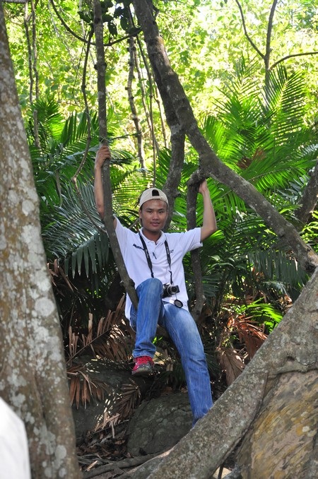 Cây đa nghìn năm tuổi trên núi Sơn Trà