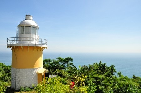 Cây đa nghìn năm tuổi trên núi Sơn Trà