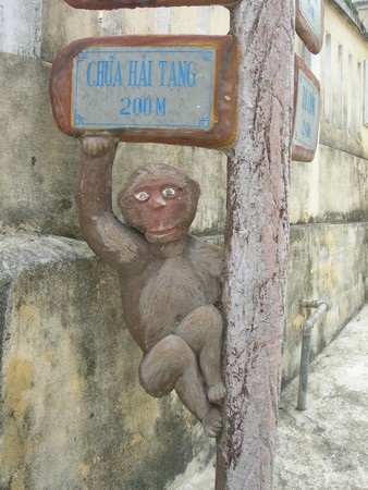 Hàng trăm con khỉ “tấn công” nhà dân  - 1